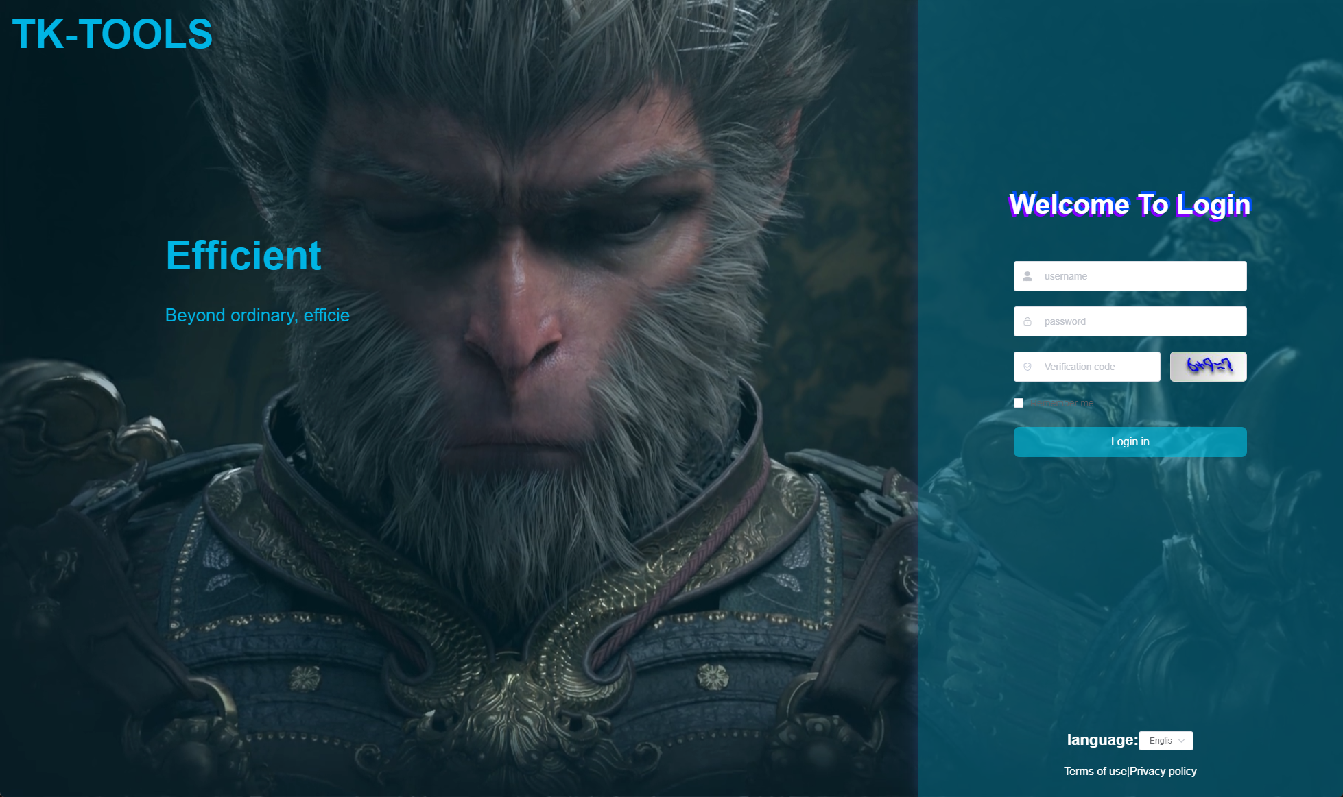 image-20241009001137385